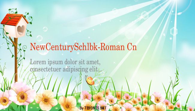NewCenturySchlbk-Roman Cn example